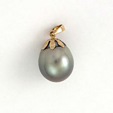 Load image into Gallery viewer, 14k Yellow Gold Gray-Blue Tahitian Pearl Pendant