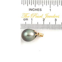 Load image into Gallery viewer, 14k Yellow Gold Gray-Blue Tahitian Pearl Pendant