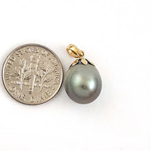 Load image into Gallery viewer, 14k Yellow Gold Gray-Blue Tahitian Pearl Pendant