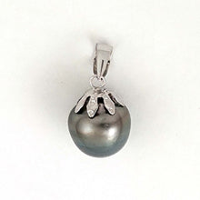 Load image into Gallery viewer, 14k White Gold 9.3 mm Black-Blue Tahitian Pearl Pendant