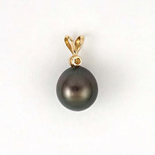 Load image into Gallery viewer, 14k Yellow Gold Black Tahitian Pearl &amp; Diamond Pendant