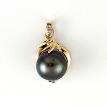 Load image into Gallery viewer, 14k Yellow Gold Feather Black Tahitian Pearl Pendant