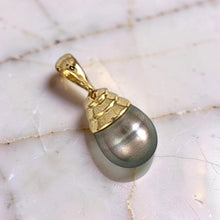 Load image into Gallery viewer, 14k Yellow Gold Ocean-Green Tahitian Pearl Pendant