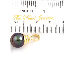 Load image into Gallery viewer, 14k Yellow Gold Bell-Bale Black Tahitian Pearl Pendant