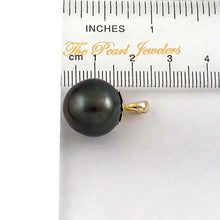 Load image into Gallery viewer, 14k Yellow Gold Flower-Cap Black Tahitian Pearl Pendant