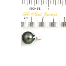 Load image into Gallery viewer, 14k Solid White Gold Star-Bale &amp; Diamond Baroque Black Tahitian Pearl Pendant