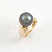 Load image into Gallery viewer, 14K Yellow Gold Black Gray Tahitian Pearl Solitaire Ring