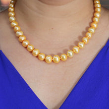 Load image into Gallery viewer, Golden Freshwater Cultured Pearl Hand-Knotted Necklace with Jumbo Spring Ring Clasp