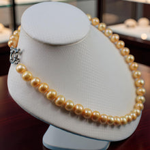 Load image into Gallery viewer, Golden Freshwater Cultured Pearl Hand-Knotted Necklace with Jumbo Spring Ring Clasp