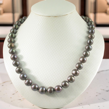 Load image into Gallery viewer, Chocolate Freshwater Cultured Pearl Hand-Knotted Necklace with Gold-Filled Clasp