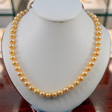 Load image into Gallery viewer, Golden Freshwater Cultured Pearl Necklace with Magnet Clasp