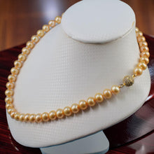 Load image into Gallery viewer, Golden Freshwater Cultured Pearl Necklace with Magnet Clasp