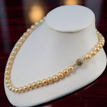 Load image into Gallery viewer, Golden Cultured Pearl Hand-Knotted Necklace with CZ Magnet Clasp
