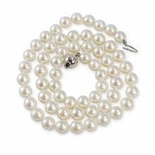 Load image into Gallery viewer, White Akoya Cultured Pearl Hand-Knotted Necklace with 925 Silver Clasp