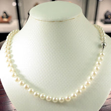 Load image into Gallery viewer, White Akoya Cultured Pearl Hand-Knotted Necklace with 925 Silver Clasp