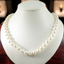 Load image into Gallery viewer, White Freshwater Pearl Hand-Knotted Necklace with 925 Silver Clasp