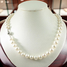 Load image into Gallery viewer, White Freshwater Pearl Hand-Knotted Necklace with 925 Silver Clasp