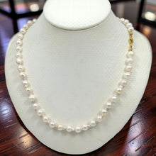 Load image into Gallery viewer, White Akoya Cultured Pearl Necklace with Alloy Trigger Clasp