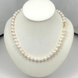 600726G26-WHITE GENUINE QUALITY CHINESE AKOYA CULTURED PEARL NECKLACE