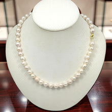 Load image into Gallery viewer, White Akoya Cultured Pearl Necklace with Gold-Plated Alloy Clasp