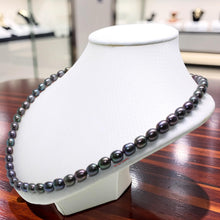 Load image into Gallery viewer, Peacock Black Freshwater Pearl Necklace with Alloy Lobster Clasp