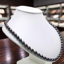 Load image into Gallery viewer, Peacock Black Freshwater Pearl Necklace with Alloy Lobster Clasp