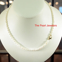 Load image into Gallery viewer, White Rice Pearl Necklace with Alloy Lobster Clasp