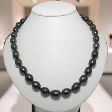 Load image into Gallery viewer, Hand-Knotted Black Rice Pearl Necklace with Gold-Filled Clasp