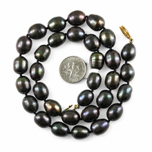 Load image into Gallery viewer, Hand-Knotted Black Rice Pearl Necklace with Gold-Filled Clasp