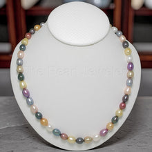 Load image into Gallery viewer, Multi-Color Freshwater Pearl Necklace – .925 Silver Clasp