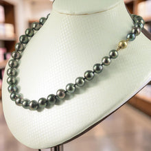 Load image into Gallery viewer, Beautiful 14k Yellow Gold Clasp Graduated Black Tahitian Pearl Necklace