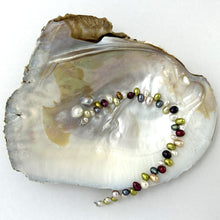 Load image into Gallery viewer, 739800-84-Beautiful-Hawaiian-Rainbow-Style-Freshwater-Pearl-Bracelet