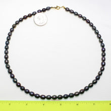 Load image into Gallery viewer, Peacock Black Freshwater Pearl Necklace with Alloy Lobster Clasp