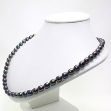 Load image into Gallery viewer, Peacock Black Freshwater Pearl Necklace with Alloy Lobster Clasp