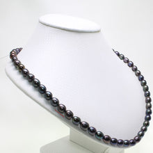 Load image into Gallery viewer, Peacock Black Freshwater Pearl Necklace with Alloy Lobster Clasp