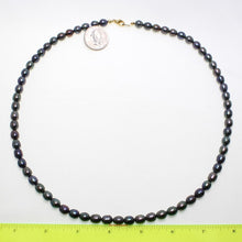 Load image into Gallery viewer, Peacock Black Freshwater Pearl Necklace with Alloy Lobster Clasp
