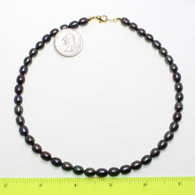 Load image into Gallery viewer, Peacock Black Freshwater Pearl Necklace with Alloy Lobster Clasp