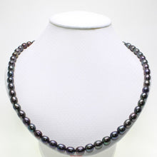 Load image into Gallery viewer, Peacock Black Freshwater Pearl Necklace with Alloy Lobster Clasp