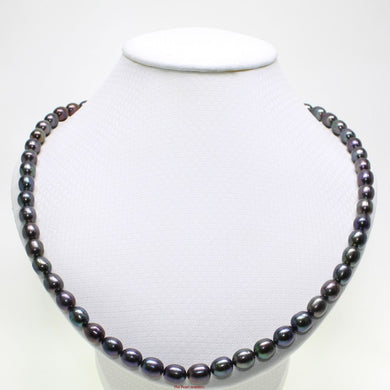 Peacock Black Freshwater Pearl Necklace with Alloy Lobster Clasp