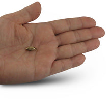 Load image into Gallery viewer, 14K Yellow Gold Shell Series Fish Hook Safety Clasp