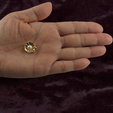 Load image into Gallery viewer, 14K Yellow Gold Double Strand (2 Rows) White Cultured Pearl Clasp