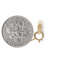 Load image into Gallery viewer, 14K Yellow Gold 5.5mm Spring Ring Clasp with Chain Tag