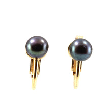 Load image into Gallery viewer, 14k Gold-Filled Clip-On Black Freshwater Pearl Earrings