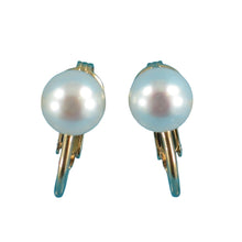 Load image into Gallery viewer, 14k Gold-Filled Clip-On White Freshwater Pearl Earrings