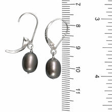 Load image into Gallery viewer, Sterling Silver Black Pearl Leverback Dangle Earrings