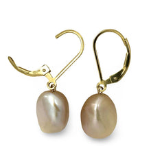 Load image into Gallery viewer, 14k Gold Filled Pink Baroque Pearl Leverback Earrings