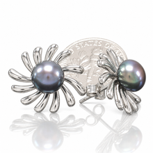Load image into Gallery viewer, Sterling Silver Sunburst Black Pearl Stud Earrings