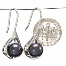 Load image into Gallery viewer, Sterling Silver Wave Hook Cultured Pearl Earrings