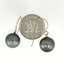 Load image into Gallery viewer, 91T0010 BLACK TAHITIAN PEARL FISH HOOK EARRINGS