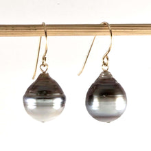 Load image into Gallery viewer, Baroque Tahitian Pearl Fish-Hook Earrings Gold-Filled